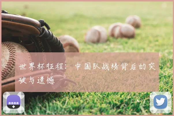 世界杯征程：中国队战绩背后的突破与遗憾