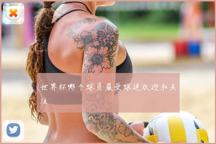 世界杯哪个球员最受球迷欢迎和关注