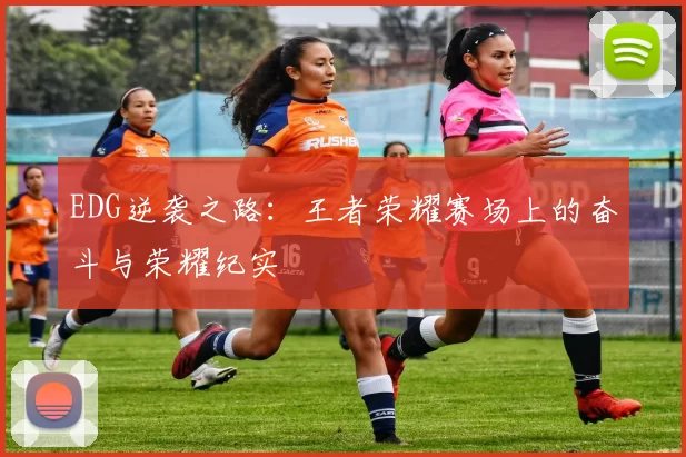 EDG逆袭之路:王者荣耀赛场上的奋斗与荣耀纪实