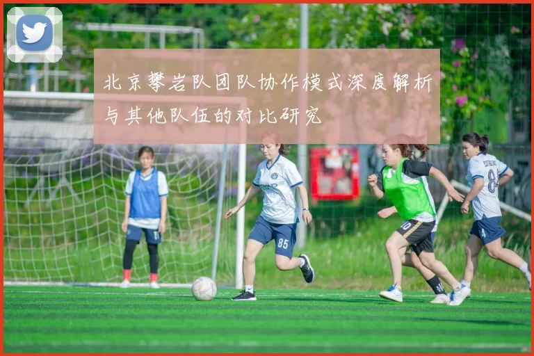 北京攀岩队团队协作模式深度解析与其他队伍的对比研究